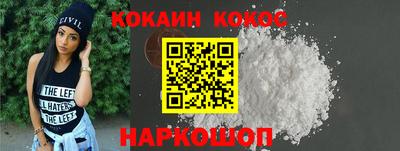 гашик Кингисепп