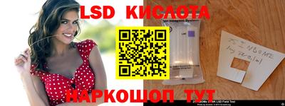 гашик Кингисепп