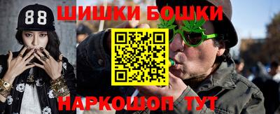гашик Кингисепп