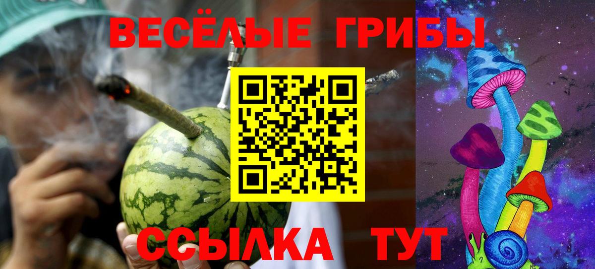 Галлюциногенные грибы Psilocybe Кувандык